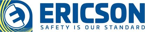 Ericson 1075-AR - Ground Guardian, 20A Auto in Saudi Arabia