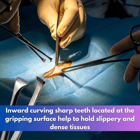 مشابك مسننة من الفولاذ المقاوم للصدأ من Allis تأتي بأسنان 4x5 و5x6 مع سقاطة قفل متعددة الأوضاع لقبضة محكمة (5x6 أسنان - 7 بوصات فضية) in Kuwait