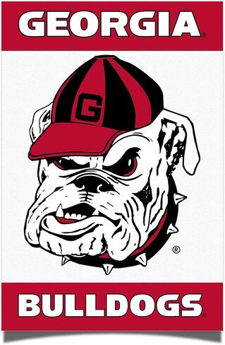 ملصق جامعة صبار الصحراء بجورجيا بلدغ UGA Dawgs غرفة الديكور (كلاسيكية، 11 بوصة × 17 بوصة، C) in Saudi Arabia
