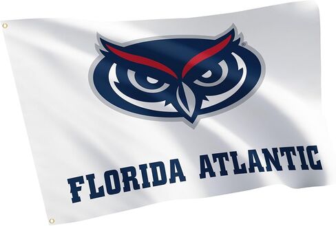 علم FAU لجامعة Desert Cactus Florida Atlantic University - لافتة بومة مقاس 3 × 5 أقدام، قماش متين للاستخدام الداخلي/الخارجي، تصميم بوليستر 100% (النمط A1) in Saudi Arabia