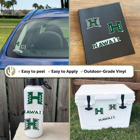 Desert Cactus University of Hawaii Sticker Rainbow Warriors UH Vinyl Decals Laptop Water Bottle Car Scrapbook T5 (Type 5-1) in Saudi Arabia