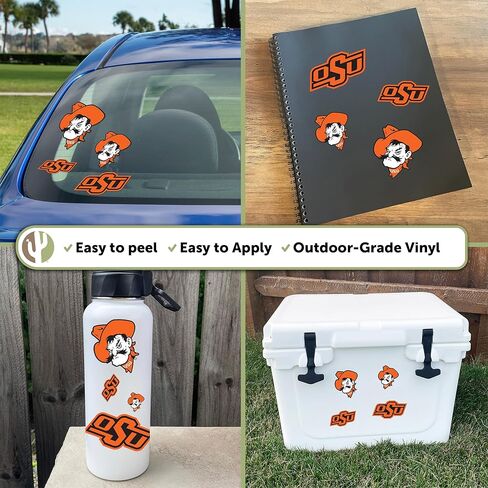 Desert Cactus Oklahoma State University Sticker Oklahoma State Cowboys Vinyl Decal Laptop Water Bottle Car Scrapbook Sheet (Type 1-1) in Saudi Arabia