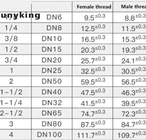 1 قطعة أنابيب النحاس عرافة رئيس النحاس نهاية غطاء التوصيل المناسب 1/8 "1/4" 3/8 "1/2" 3/4 "ذكر أنثى الموضوع مقرنة موصل محول (الحجم: ذكر شفة ، اللون: 1/8") in Kuwait