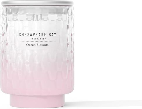 شمعة خليج تشيسابيك 8 أونصة | رائحة زهر المحيط |عطر يثير المزاج |جرة مستوحاة من زجاج البحر | شمع مزيج الصويا الفاخر مع الزيوت العطرية | عطر ساحلي لديكور المنزل أو الهدايا in Kuwait