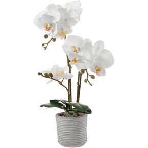 LILUYTO White Fake Orchid Potted Flowers Plant, Artificial Phalaenopsis 13 Inches PE Faux Flower PU Leaves Bendable Plastic Stem for Home Office Bathroom Wedding Decor Gift in Saudi Arabia