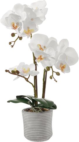 LILUYTO White Fake Orchid Potted Flowers Plant, Artificial Phalaenopsis 13 Inches PE Faux Flower PU Leaves Bendable Plastic Stem for Home Office Bathroom Wedding Decor Gift in Saudi Arabia