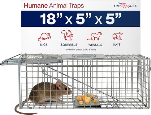 Heavy Duty Catch Release Large Live Humane Animal Cage Trap for Foxes Raccoons Badgers Coyotes and Other Similar Sized Animals 42x15x15 in Saudi Arabia