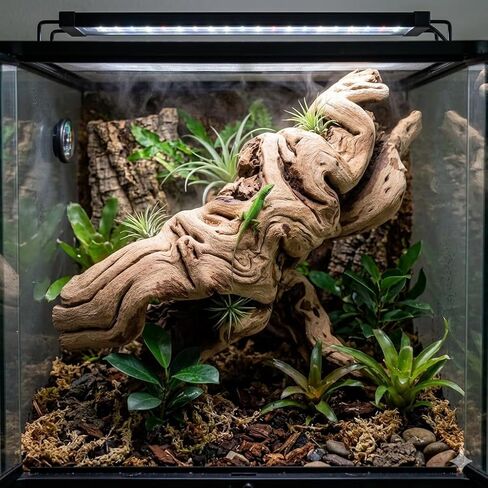 Koyal Wholesale 24" Hollow Grapewood Branch Decor 1Pcs Grapewood Centerpiece Vase Air Plants Sand Blasted Grapevine Wood Untreated Terrarium Wood Driftwood Decor in Saudi Arabia