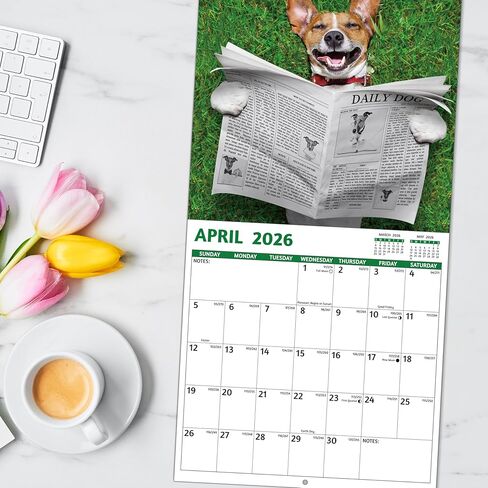 2026 Calendar, 2026 Wall Calendar, James Webb Space Calendar 2026. Jan. 2026 - Dec. 2026, 12" x 24" (Open), 12-Month Wall Calendar, Large Blocks, Thick Paper, Hanging Holes, Ample Writing Space in Saudi Arabia