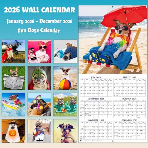 2026 Calendar, 2026 Wall Calendar, James Webb Space Calendar 2026. Jan. 2026 - Dec. 2026, 12" x 24" (Open), 12-Month Wall Calendar, Large Blocks, Thick Paper, Hanging Holes, Ample Writing Space in Saudi Arabia