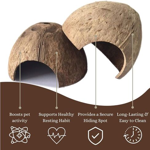 Half Coconut Shell Hut Unpolished in Saudi Arabia