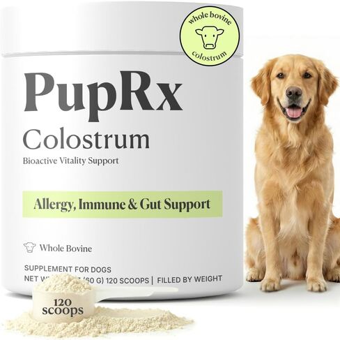 Colostrum for Dogs - 25% IgG Pure Bovine Colostrum Powder Supports Immune & Gut - Digestive Health, Allergy, Skin & Itch Relief - No Fillers, Grass-Fed USA Sourced – 60g (~120 Scoops) in Saudi Arabia