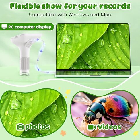 المجهر للأطفال ، 3 '' 'Digital Handheld Kids Microscom in Kuwait