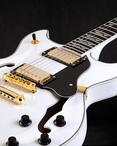 جيتار كهربائي WestCreek 333، جيتار كهربائي لموسيقى الجاز شبه مجوف، التقاطات ألنيكو هامبوكر، لوح فريتس من خشب الورد، رقبة من خشب القيقب، أطراف مستديرة، جسم من خشب القيقب، حجم كامل (أسود فارغ) in Kuwait