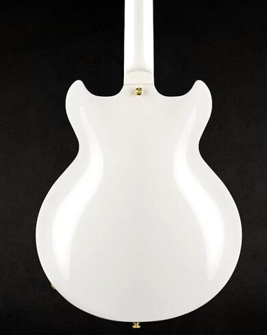 جيتار كهربائي WestCreek 333، جيتار كهربائي لموسيقى الجاز شبه مجوف، التقاطات ألنيكو هامبوكر، لوح فريتس من خشب الورد، رقبة من خشب القيقب، أطراف مستديرة، جسم من خشب القيقب، حجم كامل (أسود فارغ) in Kuwait