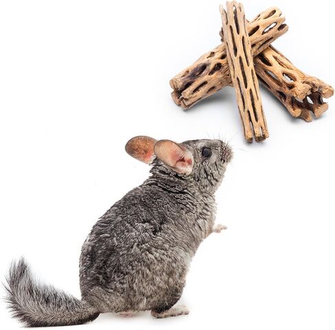 Natural Cholla Wood - Driftwood for Aquariums, Air Plant Base, Hermit Crab and Freshwater Shrimp Hideout, Fish Tank Decoration, Chinchilla Chews, Reptile Habitat Wood - 6 Inch, 5pc in Saudi Arabia