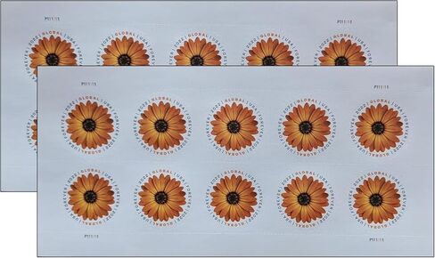 USPS African Daisy (ورقة من 10) Postage Global Forever Stamps International Mail Flower Wedding 2022 Scott #5680 in Saudi Arabia