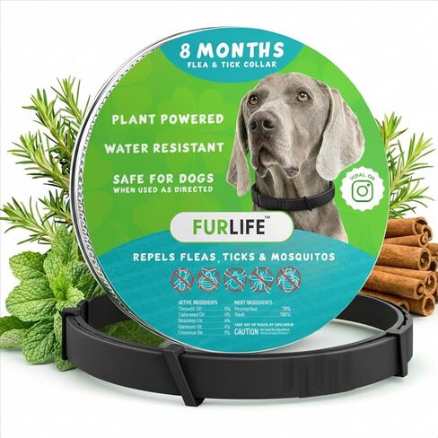 FurLife Flea and Tick Collar for Dogs – Waterproof Blue Dog Collar, Pet Supplies for Tick and Flea Prevention for Dogs, Safe for All Breeds in Saudi Arabia