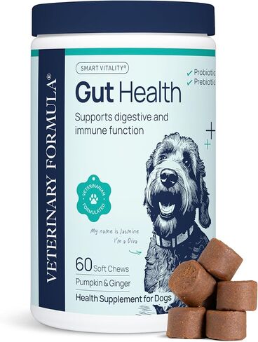 ملحق صحة الصيغة البيطرية للكلاب-مضغ بروبيوتيك الطبيب البيطري مع الإنزيمات والألياف الهضمية-تدعم الحيوية الذكية صحة الجهاز الهضمي ، توازن الأمعاء وجودة البراز ، 60 مضغًا ناعمًا in Kuwait