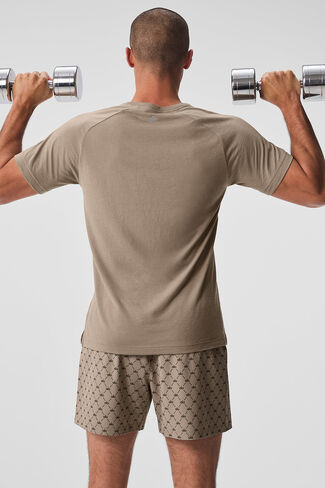Alo Yoga Triumph Raglan Tee - Gravel in Saudi Arabia