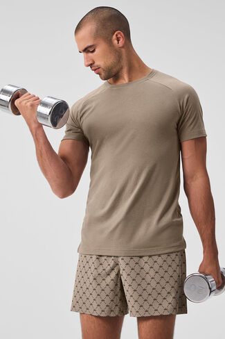 Alo Yoga Triumph Raglan Tee - Gravel in Saudi Arabia
