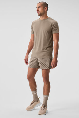 Alo Yoga Triumph Raglan Tee - Gravel in Saudi Arabia
