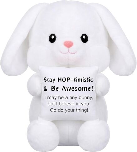 11.8 Inch Turtle Plush Turtle Stuffed Animal Christmas Funny Positive Cute Stuff Active Support Gifts Motivational Gifts for Women Men Coworker Teacher Birthday Holding Pillow Positive Decor in Saudi Arabia