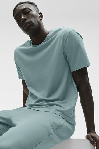 Alo Yoga Essential Short Sleeve Street Tee - Desert Sage in Kuwait
