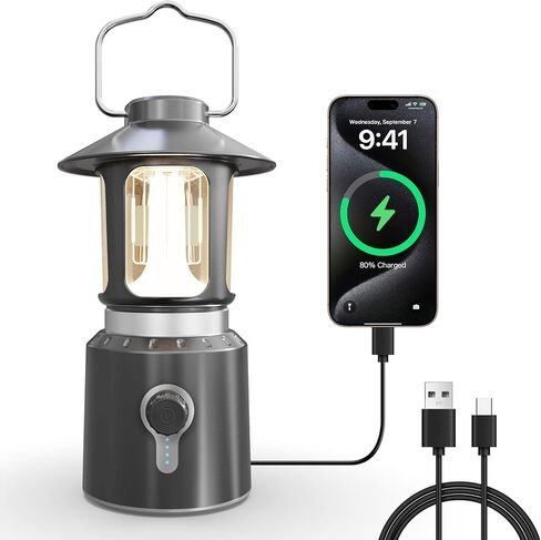 Camping Lantern Rechargeable, 8000mAh Power Bank, Telescopic Camping Lights with 360° Lighting, Dual Light Source, 3 Light Modes (2000K-6500K) Tent Lights for Hurricane Emergency, Hiking (Silver) in Kuwait