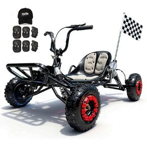Zyliathor 212cc 4-Stroke Go Kart تعمل بالغاز، CVT Go Kart مع سلسلة 420، حتى 45 ميلاً في الساعة، قرص خلفي هيدروليكي، تعليق مستقل رباعي العجلات، إطارات 145/70-6، للمراهقين والبالغين، مسارات الفناء الخلفي in Kuwait
