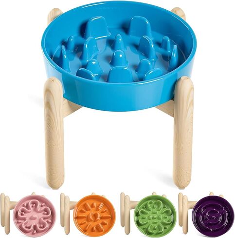 LE TAUCI Dog Bowls Slow Feeder Ceramic, 1.5 Cup Slow Feeding Bowl for Small and Medium Breed, Puzzle Dog Food Bowl for Fast Eater, Maze Purple in Kuwait