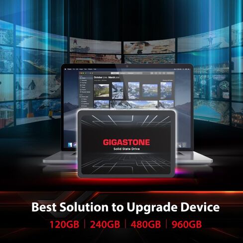 Gigastone SATA SSD 960GB 2.5 inch SSD 500MB/s Upgrade Laptop PC Memory and Storage PS4 HDD Replacement 2.5" Internal Solid State Hard Drives SATA III SLC Cache 3D NAND Increase Performance in Saudi Arabia