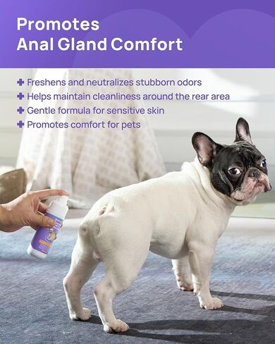 HICC PET رذاذ الغدة الشرجية 118 مل، علاج رذاذ البقع الساخنة للكلاب والقطط، رذاذ مضاد للحكة للكلاب، مهدئ لرائحة القضاء على الالتهاب، يوصى به الطبيب البيطري لدعم الغدة الشرجية in Kuwait