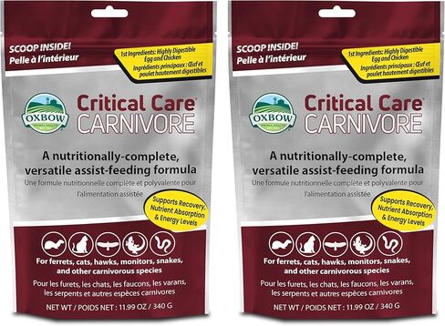 Oxbow Critical Care Carnivore, Made with Whole Egg & Dried Chicken, Assist Feeding Formula for Carnivores, Cat Supplements, Ferret Food, Small Animal Pet Products, Made in USA, 340 Gram Bag, 2 Pack in Saudi Arabia