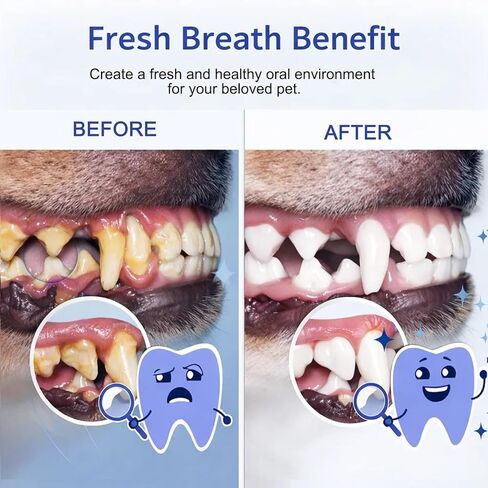 Dental Dog، 7.05oz مادة مضافة للمياه للعناية بالأسنان، Dental Para Perros، تركيبة متخصصة للعناية بالأسنان، تركيبة عديمة الرائحة والنكهة لمحاربة الجير وتعزيز صحة اللثة (قطعة واحدة) in Saudi Arabia