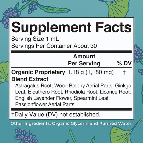 Maryruth Organics - ملحق NOOTROPIC Brain العضوي للوحدة الأمريكية للبالغين مع Ginkgo Biloba و Astragalus | التركيز ودعم الغدة الكظرية | قطرات الدماغ والذاكرة | نباتي | غير GMO | الخالية من الغلوتين | 30 حصص in Saudi Arabia