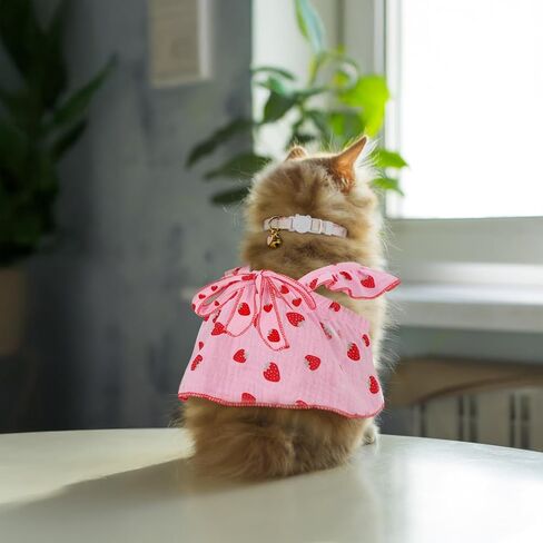 أزياء قطط قطنية مطبوعة بالفراولة مع ياقة قابلة للتعديل مع فيونكة، ملابس قطط للفتيات والقطط، ملابس حيوانات أليفة بيضاء وردية للكلاب والقطط الصغيرة (M) in Kuwait