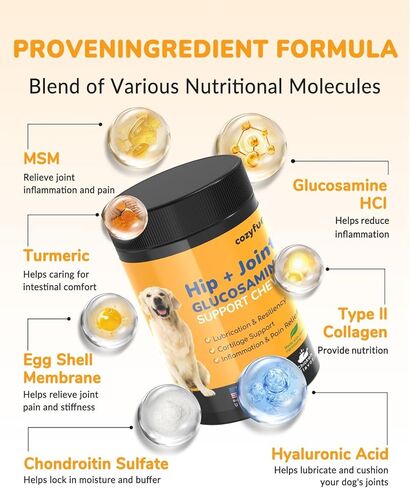 Glucosamine for Dogs 260Ct Chews - 23oz Hip and Joint Supplement Chews for Dogs, Chondroitin Joint Supplement for Dog Joint, USA Lab Formula with Probiotics, Natural Support for Dogs in Kuwait