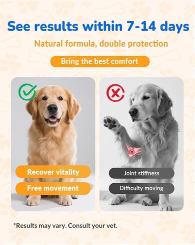 Glucosamine for Dogs 260Ct Chews - 23oz Hip and Joint Supplement Chews for Dogs, Chondroitin Joint Supplement for Dog Joint, USA Lab Formula with Probiotics, Natural Support for Dogs in Kuwait