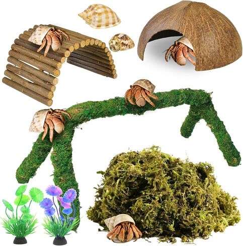 kathson Hermit Crab Accessories, Hermit Crab Climbing Toys, Adjustable Natural Moss Habitat Decor with Bendable Bridge & Coconut Shells for Reptile Amphibians Tank Accessories in Saudi Arabia