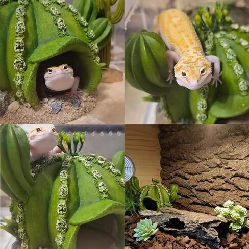 kathson Reptile Tank Decor Lizard Hide and Cave Plants Terrarium Decorations Resin Cactus Desert Aquarium Tank Habitat Accessories for Bearded Dragon Chameleon Leopard Gecko Snake Fish (Cactus) in Saudi Arabia