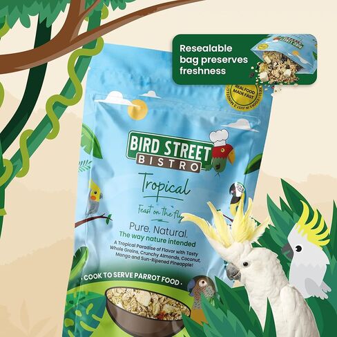 Bird Street Bistro Parrot Food - طعام الببغاء - يُطهى في 3-15 دقيقة مع الحبوب الطبيعية والبقوليات والفواكه غير المعدلة وراثيًا والخضروات والتوابل الصحية. in Kuwait