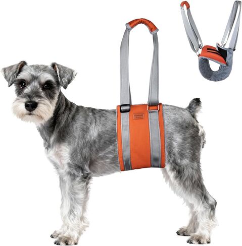 Dog Sling for Back Legs Dog Lift Harness Magic Tape Hip Support Harness Rehab to Help Senior,Injured,Arthritis,Hip Dysplasia,Weak Rear Leg,Disabled,After ACL/CCL Surgery,TPLO Dogs (Brown, XL) in Saudi Arabia