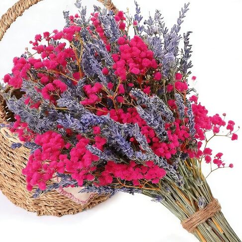 حزم زهور اللافندر المجففة وزهور أنفاس الطفل، 2 باقة من الزهور المجففة للمزهرية، جيبسوفيلا طبيعية للمنزل، الزفاف، التصوير الفوتوغرافي، تنسيق الزهور، DIY in Kuwait