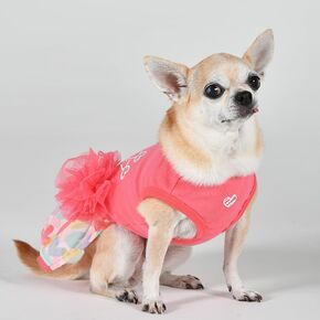 Lomasi Winter Dress Warm Cozy Fashionable for Small Dogs, Blue, Large