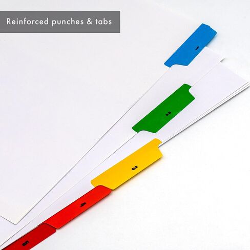 Pukka Pad 5 Part Dividers - 1 Pack of 5 Tab Set, 3-Ring Binder Compatible, 8 1/2 x 11 Inches - Numbers in Saudi Arabia