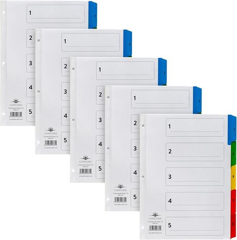 Pukka Pad 5 Part Dividers - 1 Pack of 5 Tab Set, 3-Ring Binder Compatible, 8 1/2 x 11 Inches - Numbers in Saudi Arabia