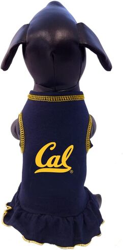 NCAA California Golden Bears Cheerleader Dog Dress in Saudi Arabia