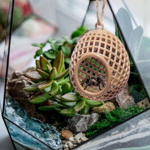 Jumping Spider Hide,Magnetic Hidden Jumping Spider Habitat,Pet Spider Hideout Enclosure Accessories, Jumping Spider Enclosure,Small Pets Toy,Khaki in Saudi Arabia