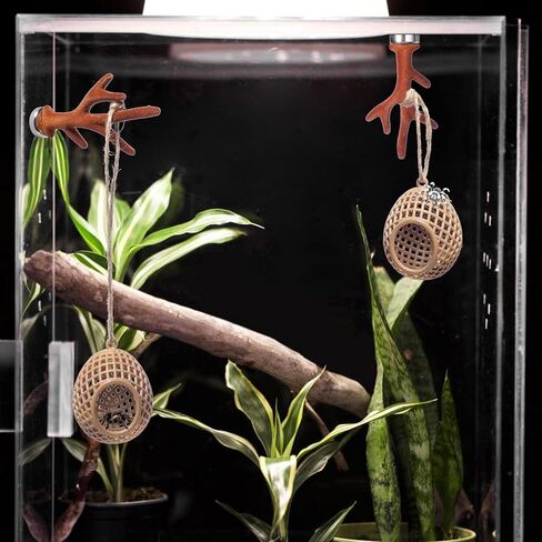 Jumping Spider Hide,Magnetic Hidden Jumping Spider Habitat,Pet Spider Hideout Enclosure Accessories, Jumping Spider Enclosure,Small Pets Toy,Khaki in Saudi Arabia